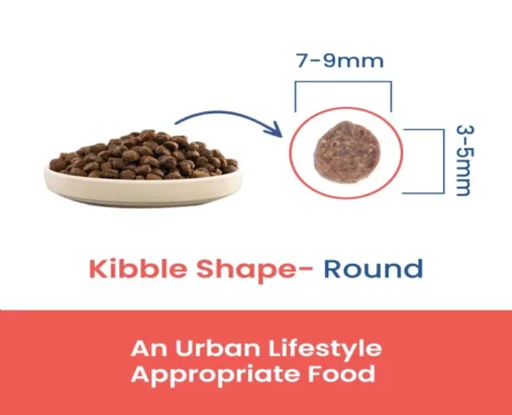 Fabled Well Begun Starter Recipe Dry Dog Food at ithinkpets