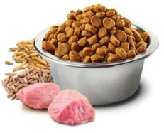 Farmina N&D Ancestral Grain Chicken and Pomegranate- Adult Medium & Maxi Dog Dry Food at ithinkpets (1)