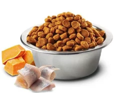 Farmina N&D Ocean Cod, Pumpkin and Orange, Adult Medium and Maxi Dry Dog Food, 2.5 Kgs at ithinkpets (1)
