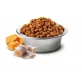 Farmina N&D Ocean Cod Pumpkin and Orange Mini Adult Dog Dry Food, 2.5 kg