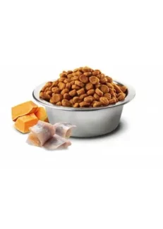 Farmina N&D Ocean Cod Pumpkin and Orange Mini Adult Dog Dry Food, 2.5 kg at ithinkpets (3)