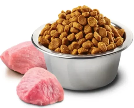 Farmina N&D Prime Chicken and Pomegranate, Adult Cat Dry Food at ithinkpets (4)