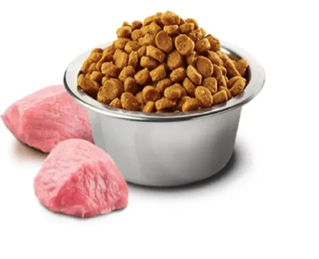 Farmina N&D Pumpkin Lamb and Bluberry Adult Medium and Maxi Dog Dry food, 2.5 Kgs at ithinkpets (1)