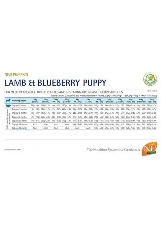 Farmina N&D Pumpkin Lamb and Bluberry Puppy Dog Food, Medium and Maxi Breed at ithinkpets (1)