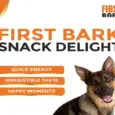 First Bark Soft Chicken Breast Dog Treat, 70 Gms at ithinkpets.com 3