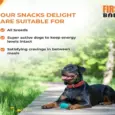 First Bark Soft Chicken Breast Dog Treat, 70 Gms at ithinkpets.com 6