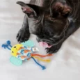 Fofos Puppy Toy Bee, Plush and Rope Toy