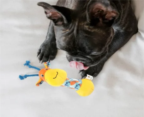 Fofos Puppy Toy Giraffe Dog Plush Rope Toy at ithinkpets.com (2)