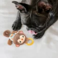 Fofos Puppy Toy Monkey Dog Plush Rope Toy