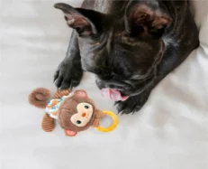Fofos Puppy Toy Monkey Dog Plush Rope Toy at ithinkpets.com (2)
