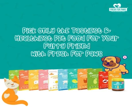 Fresh For Paws Cottage Cheese Dog Wet Food 100 Gms at ithinkpets.com (3)