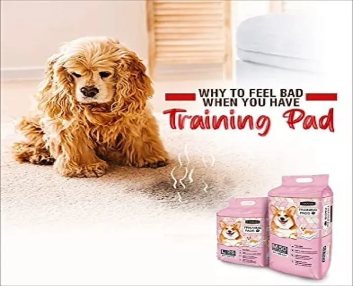 Goodies Training Pee Pad and Potty Pads Large Size at ithinkpets (2)