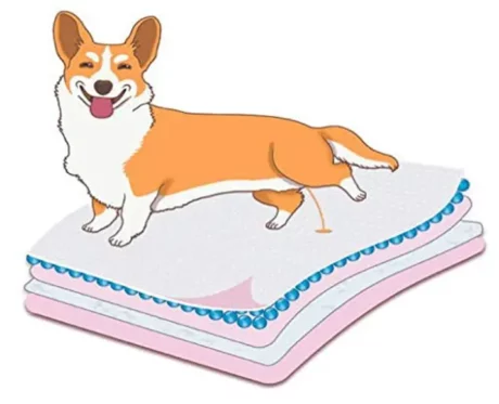 Goodies Training Pee Pad and Potty Pads Medium Size at ithinkpets