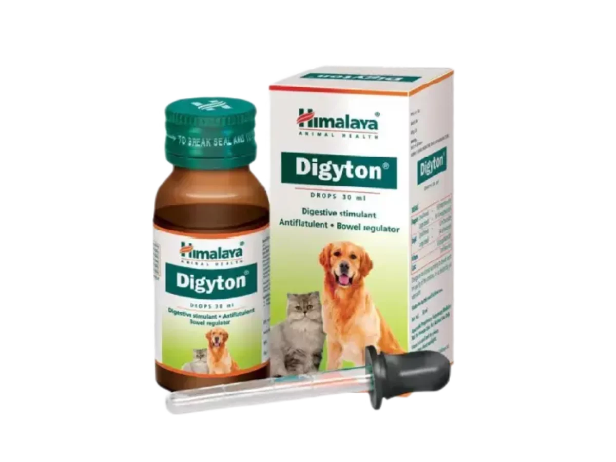 Buy Support Your Pet s Digestive Health With Himalaya Digyton Drops 30 Ml For Dogs And Cats At Ithinkpets