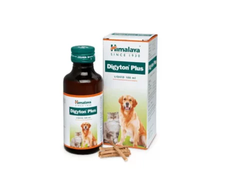 Himalaya Digyton Plus Syrup at ithinkpets.com