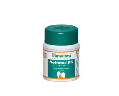 Himalaya Nefrotec DS tablet at ithinkpets.com