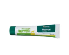 Himalaya Scavon Cream, 50 Gm, Dogs and Cats at ithinkpets.com (1) (1)