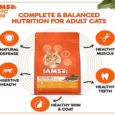 IAMS Chicken Adult Dry Cat Food (1+ Years)