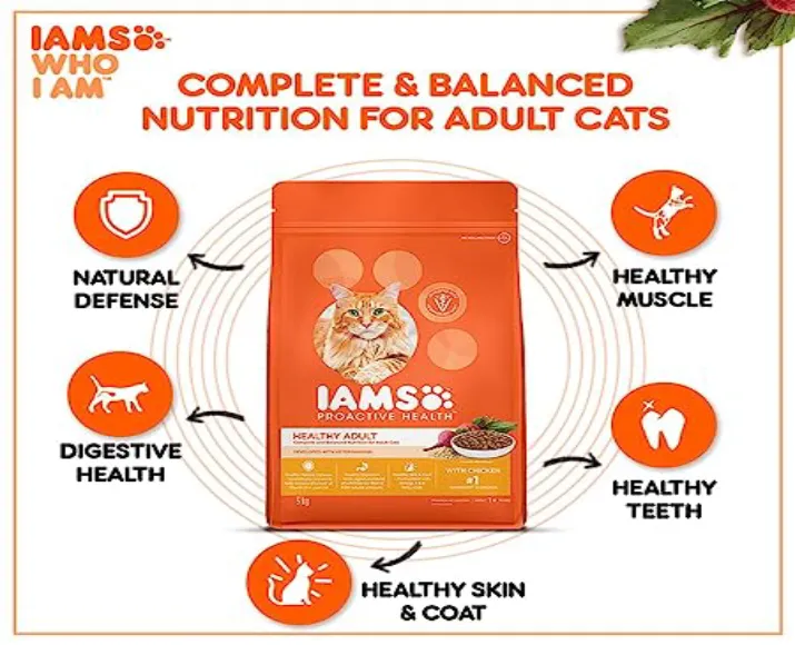 IAMS Chicken Adult Dry Cat Food at ithinkpets.com