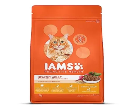 IAMS Chicken Adult Dry Cat Food at ithinkpets.com