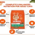 IAMS Chicken and Salmon Adult Dry Cat Food (1+ Years)