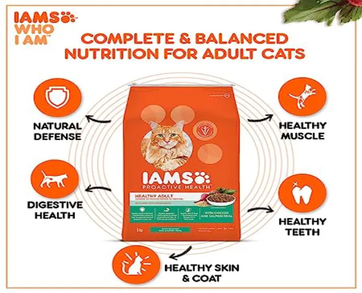 IAMS Chicken and Salmon at ithinkpets.com