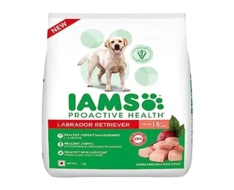 IAMS Labrador Retriever at ithinkpets.com