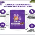 IAMS Mother and Kitten Dry Cat Food with Chicken (2-12 Months)