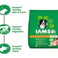 IAMS Small and Medium Breed Adult Dry Dog Food, Chicken (1.5+ Years)