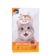 Jinny Salmon, Dry Cat and Kitten Treat