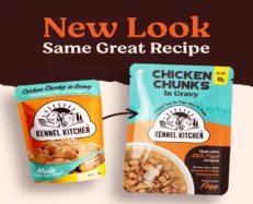 Kennel Kitchen Chicken Chunks in Gravy, Puppy and Adult Dog Food at ithinkpets.com (2)