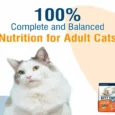 Kitty Yums Ocean Fish Adult Dry Cat Food (1 year+)