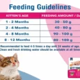 Kitty Yums Ocean Fish Kitten Dry Food,(1-12 Months)