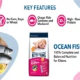 Kitty Yums Ocean Fish Kitten Dry Food,(1-12 Months)