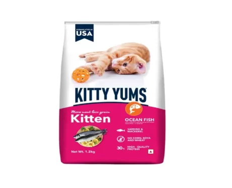 Kitty Yums Ocean Fish Kitten at ithinkpets.com