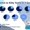 Kitty Yums Persian Ocean Fish Dry Cat Food (1 Year +)