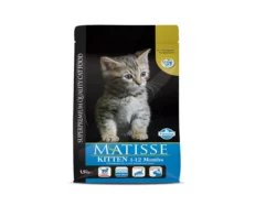Matisse Kitten at ithinkpets.com