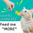 Me-O Creamy Cat Treats Bonito Flavor, 60 Gms