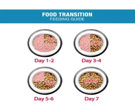 Me-O Kitten Food Ocean Fish Kitten Dry Food at ithinkpets