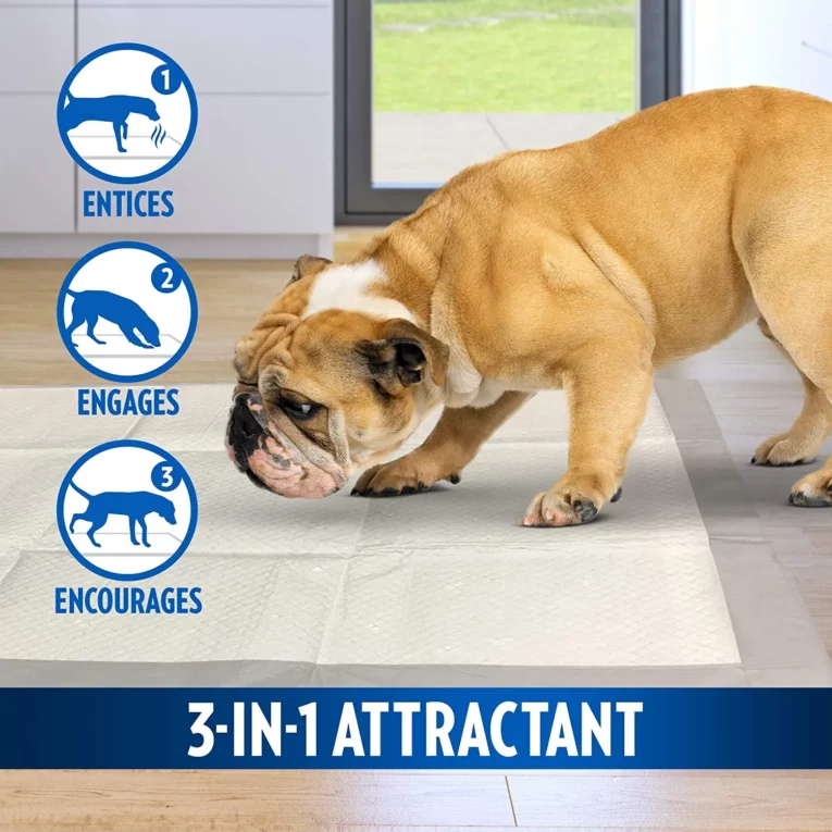 OUT! Moisture Lock Training Pee Pads with Advanced Attractant- 22 X 22 inch,30 pcs at ithinkpets (4)