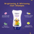 Pawsh Brightening Shampoo Puppies and Adults Dogs 200 ml