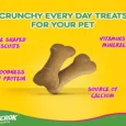 Pedigree Biscrok Milk and Chicken Dog Biscuit Treats, 500 Gms