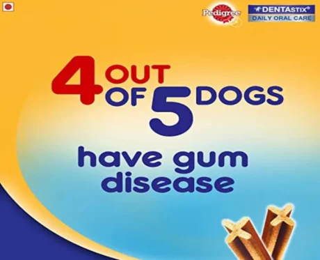 Pedigree Dentastix Large Breed at ithinkpets.com