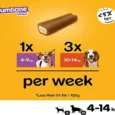 Pedigree Jumbone Mini Dog Treat Bone, Chicken & Lamb Flavour, 160 Gms