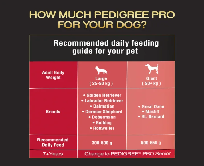 Pedigree Pro Active Adult Dry Dog Food at ithinkpets (1) (1)