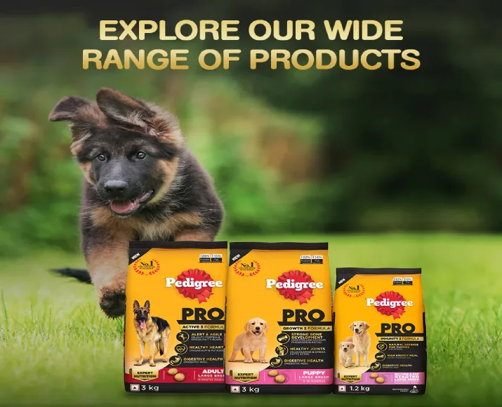 Pedigree Pro Active Adult Dry Dog Food at ithinkpets (2) (1)