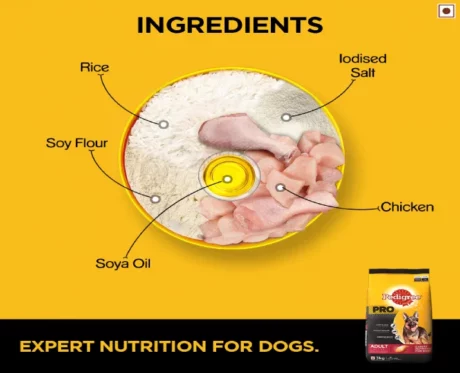 Pedigree Pro Active Adult Dry Dog Food at ithinkpets