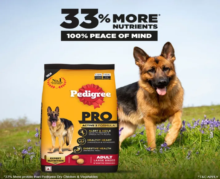 Pedigree Pro Active Adult Dry Dog Food at ithinkpets (3)