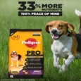 Pedigree Pro Adult Small Breed Dry Dog Food (9 Month +)