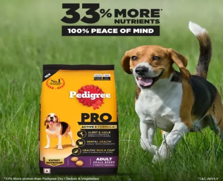 Pedigree Pro Adult Small Breed Dry Dog Food at ithinkpets